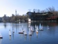 /album/varosliget-03-03-/varosliget-03-03-012-jpg/